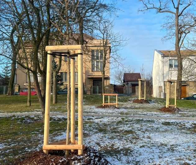 Obnova/vegetační úpravy městského parku Holárkovy sady v Lounech