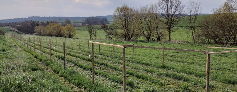 Foto: Pavla Pokorná
