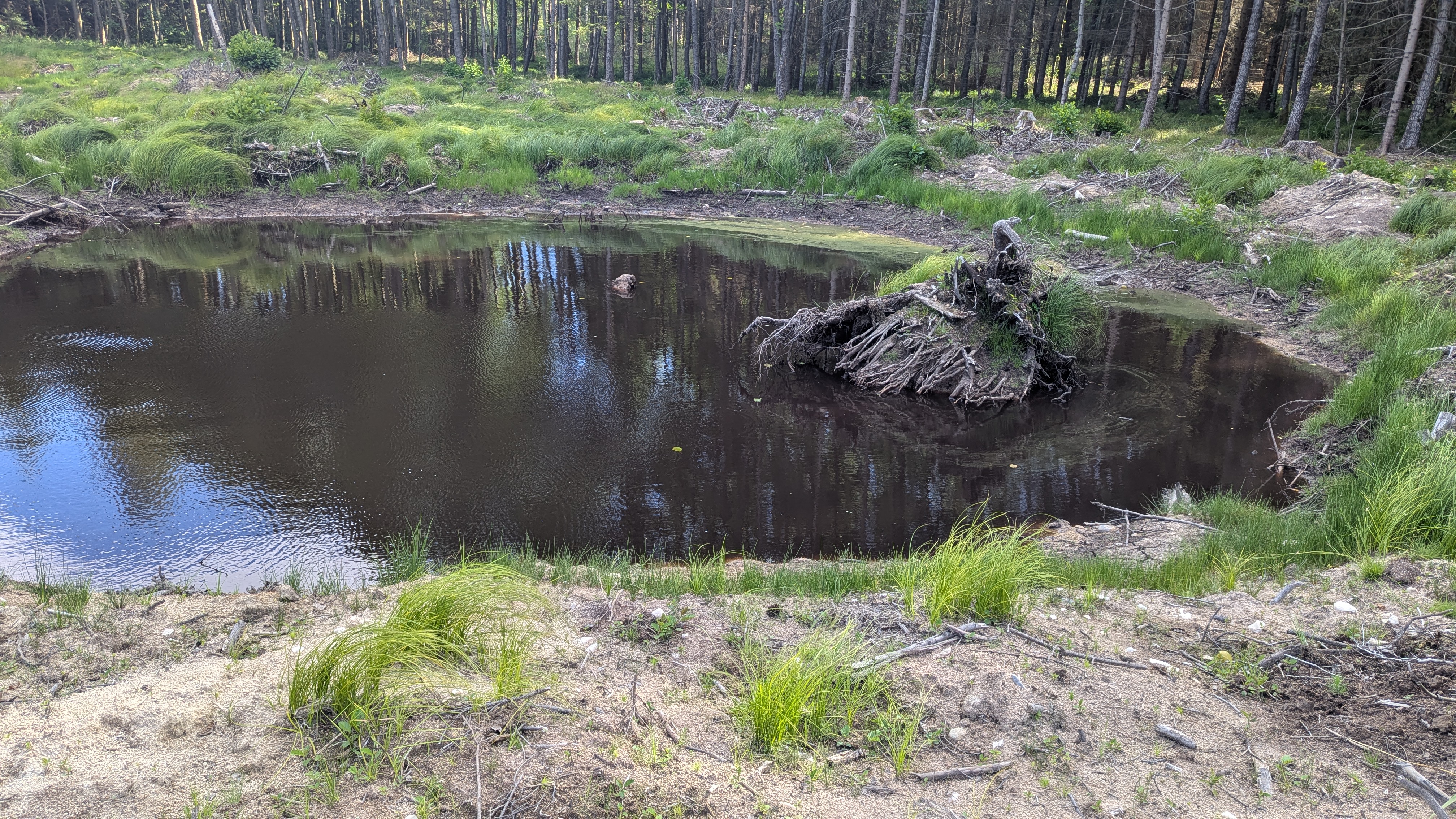 Tůně Grenzteich 