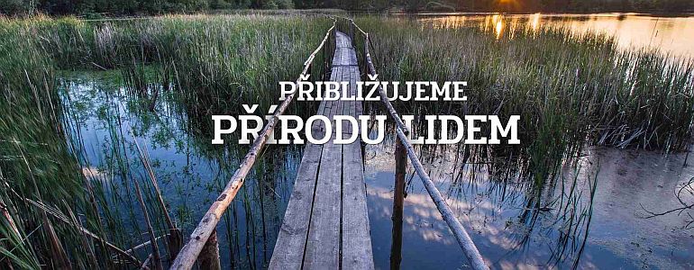 Titulní fotografie nové webové stránky.