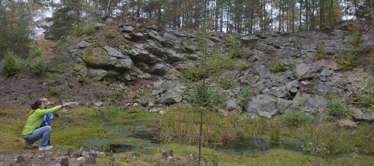 Křížovský lom.