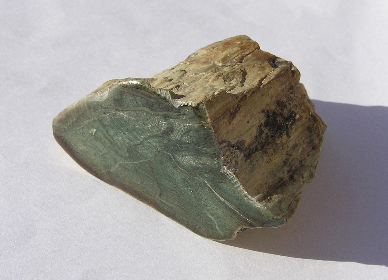 Zkamenělé dřevo od Lhenic.