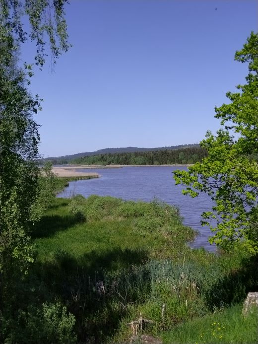 Jarní krajina Brd.