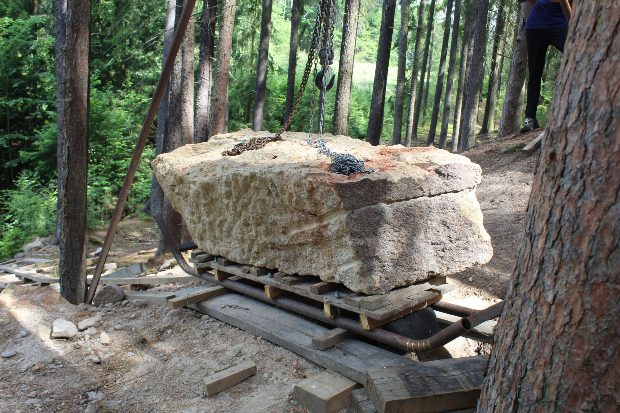 Arkóza Odlezly.