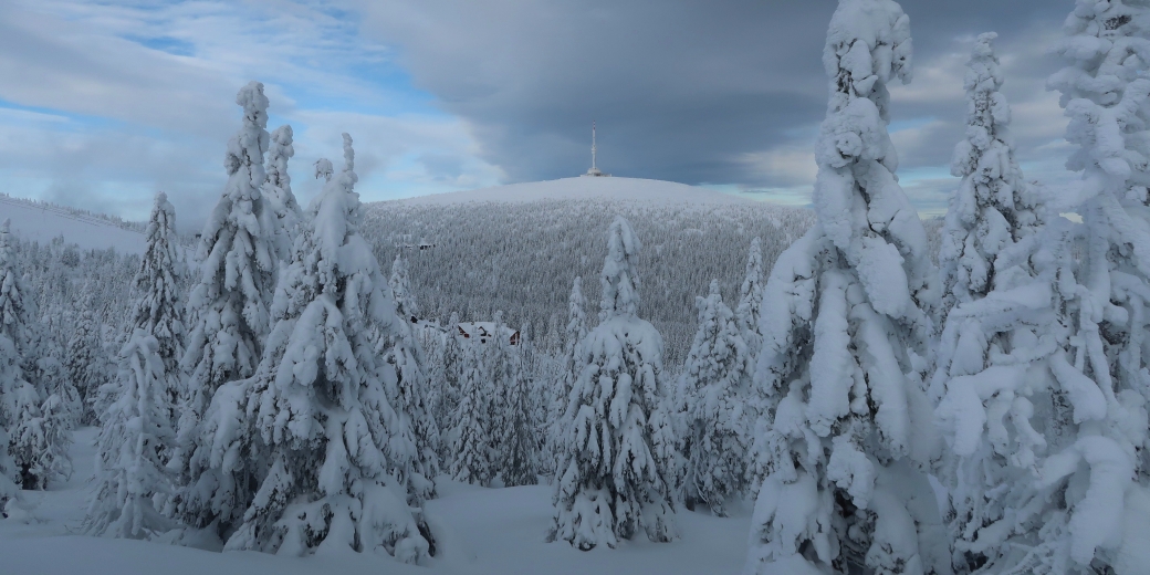 Národní přírodní rezervace Praděd