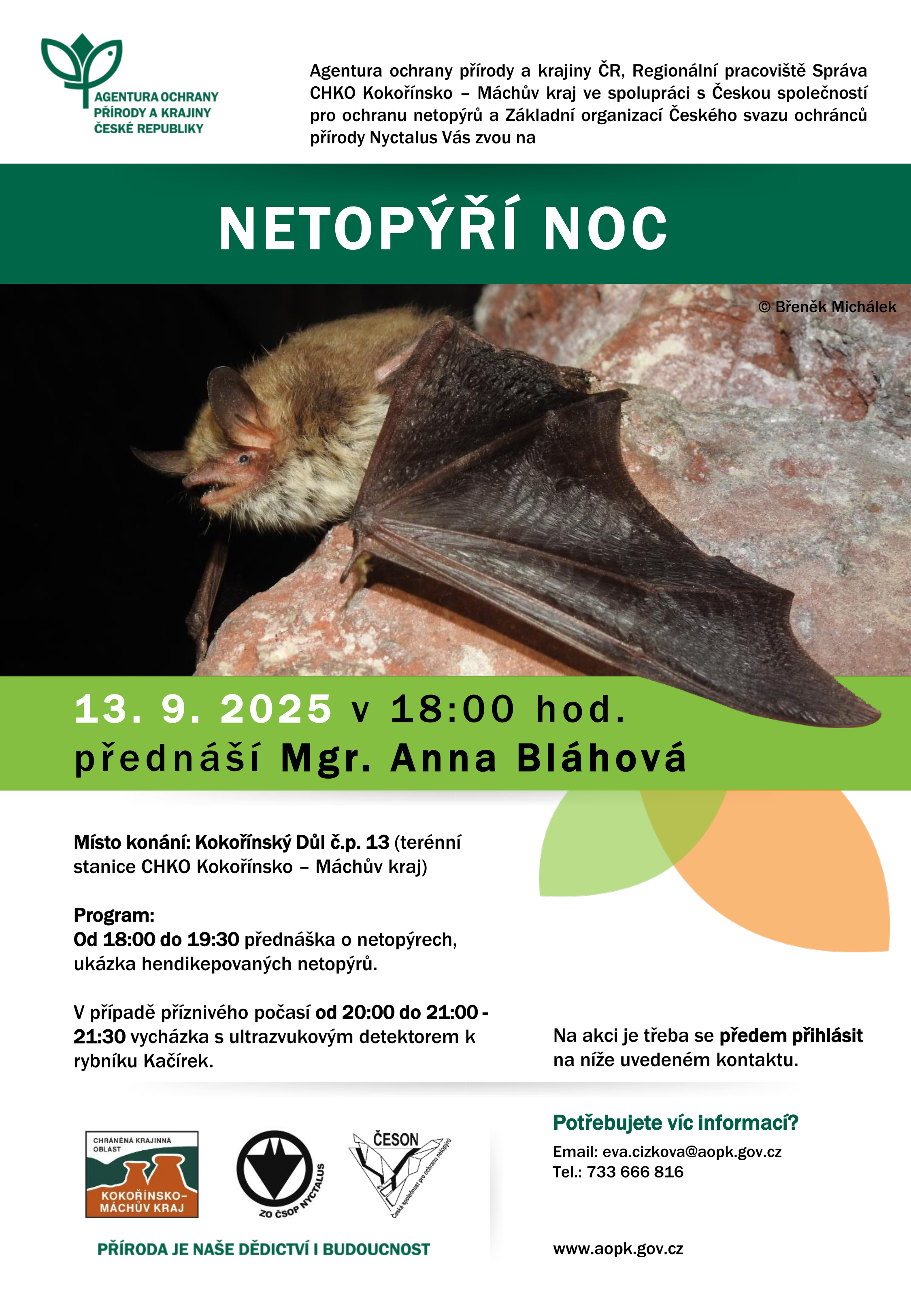 Pozvánka na Netopýří noc v Kokořínském Dole.