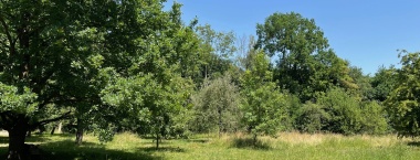 Pohled na letní zahradu informačního střediska Šargoun.