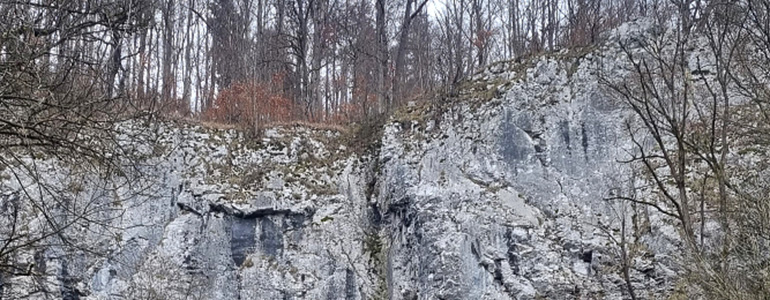Sokoli.