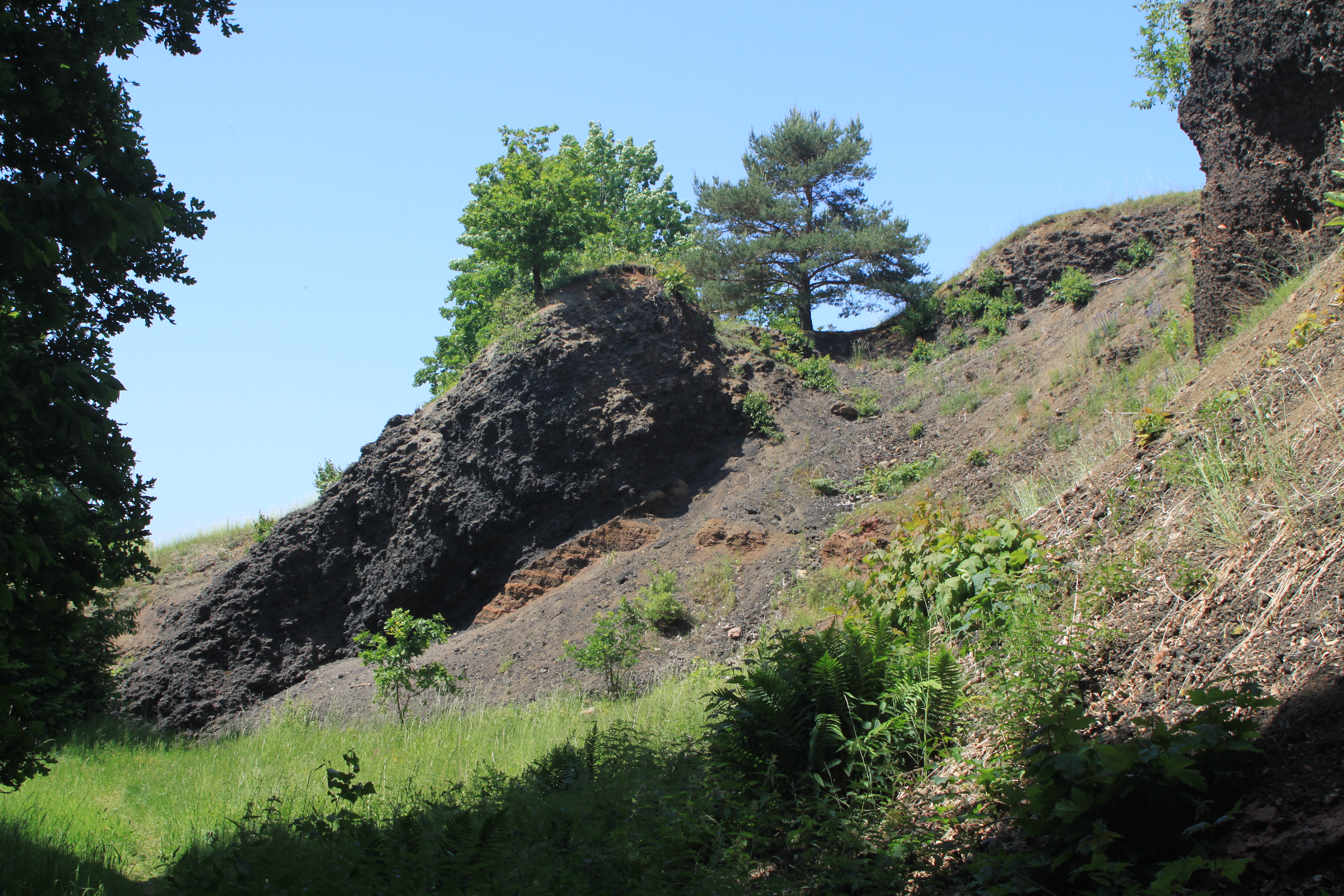 NPP Železná hůrka_Rolková