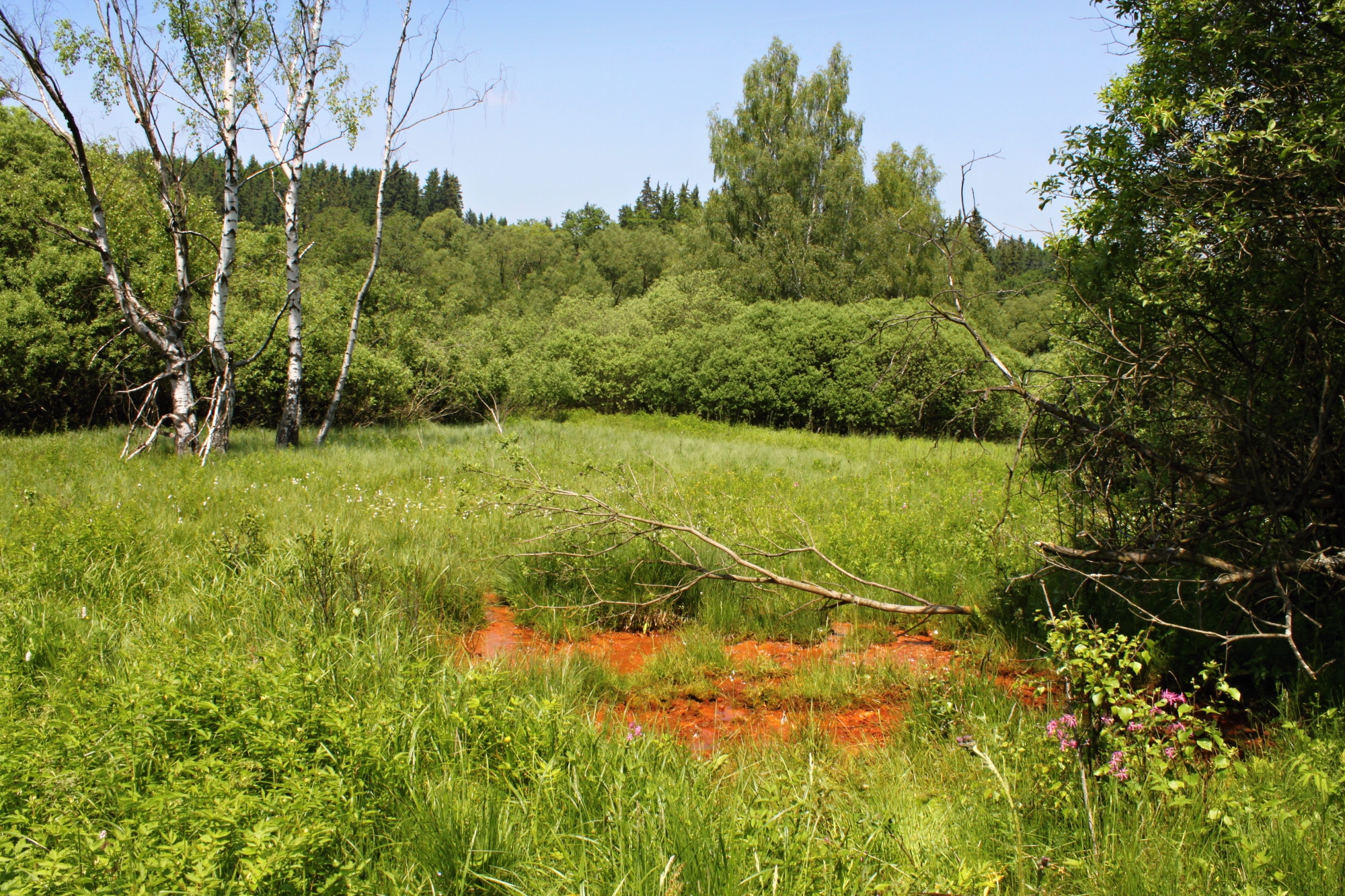 Číhaná - Tájek
