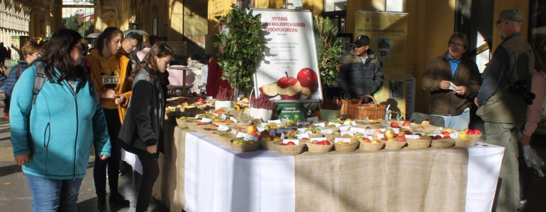 Lázeňský festival jablek