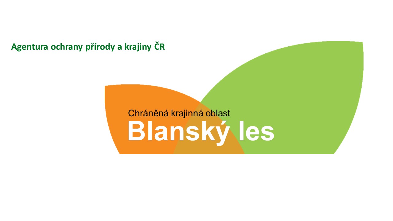 CHKO Blanský les