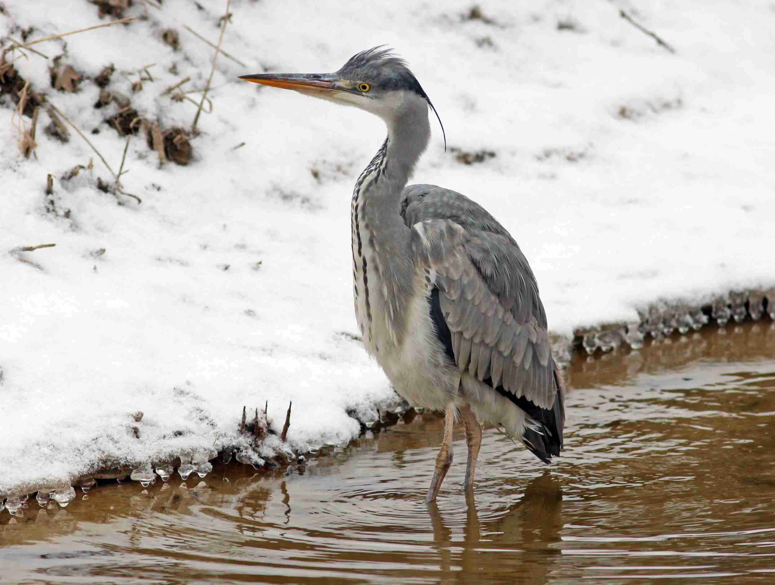 foto Ing. Jiří Neudert